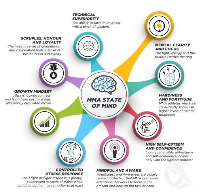 mixed_martial_arts_mma_state_of_mind MMA_fighter_mindset