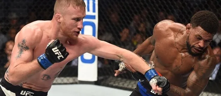 The Rise of MMA and UFC_Combat Kinetics_Chennai MMA The Rise of MMA and UFC_Combat Kinetics_Chennai MMA