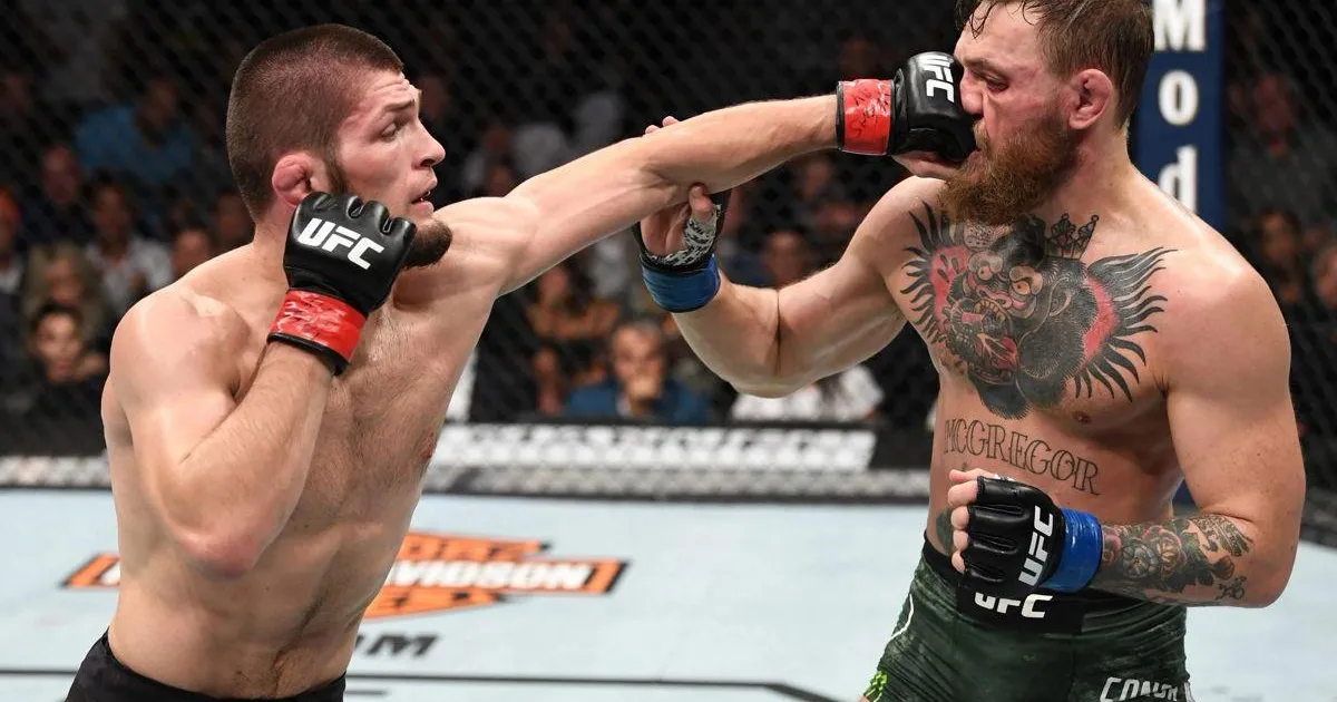 The Anatomy of Knockouts Understanding Striking in MMA The Anatomy of Knockouts Understanding Striking in MMA