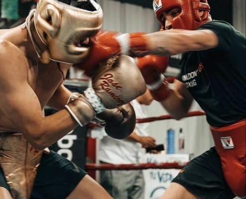 The Anatomy of Knockouts Understanding Striking in MMA