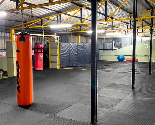 Combat Kinetics MMA Training Anna Nagar